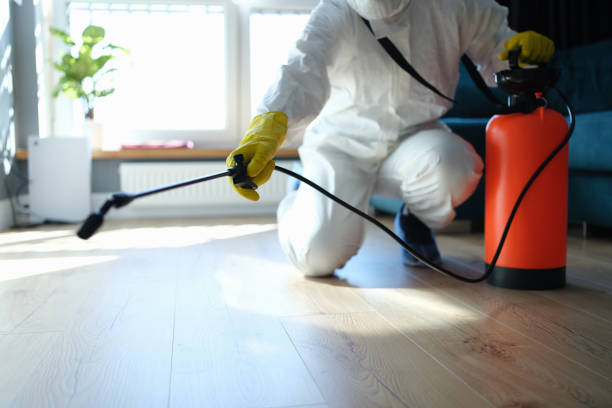 Reliable Hoarding Cleanup contractor in California Hot Springs, CA by Trauma Clean Pros